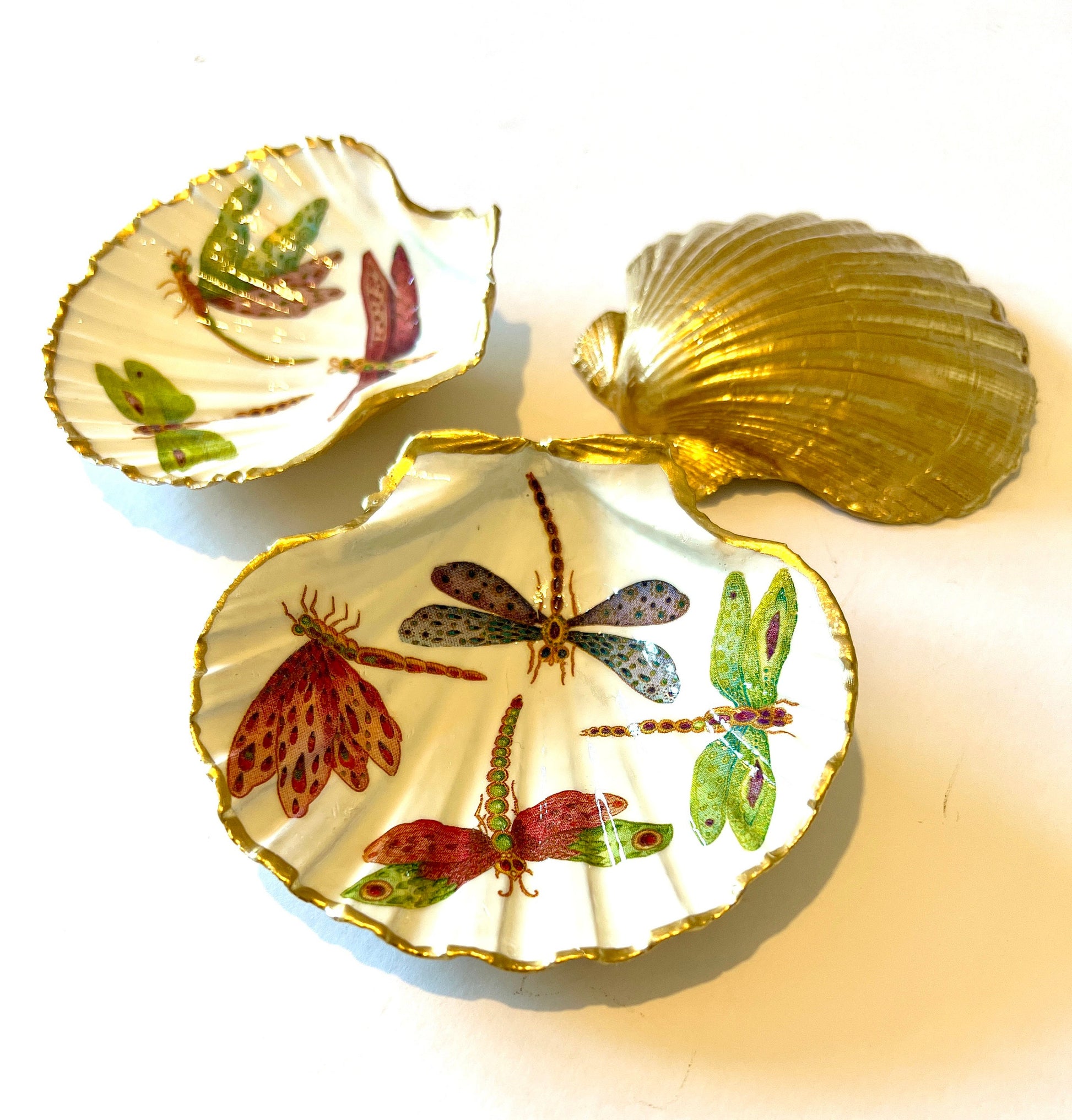 Handmade dragonfly scallop shell trinket dish with gold leaf edging and glossy resin finish. Coastal jewellery and ring dish crafted from a natural Dorset scallop shell, featuring colourful dragonfly artwork. Decorative shell bowl photographed on a light background, showing the natural shell shape and shimmering gilded edges, ideal for holding rings, earrings, trinkets or small treasures.