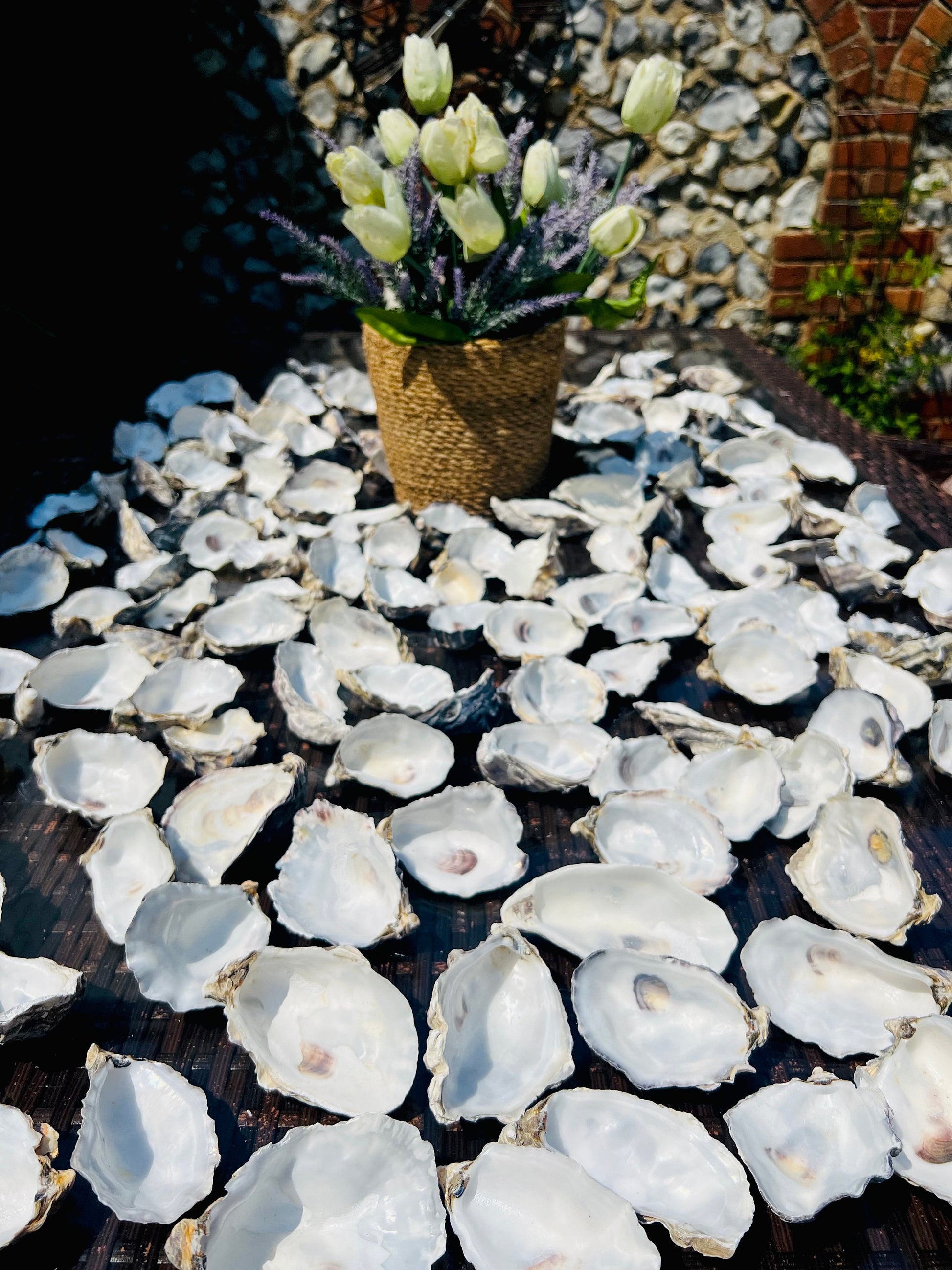 Bundle of natural cupped oyster shells, foraged from the Kent and Dorset coastlines. Sustainable shells measuring 6–9cm, perfect for crafts, coastal home décor, oyster shell wedding favours, catering displays, trinket dishes, jewellery holders, or DIY art projects. Each shell is cleaned and ready to use, though recommended to run through dishwasher before catering. Unique eco-friendly shells with natural texture and charm.