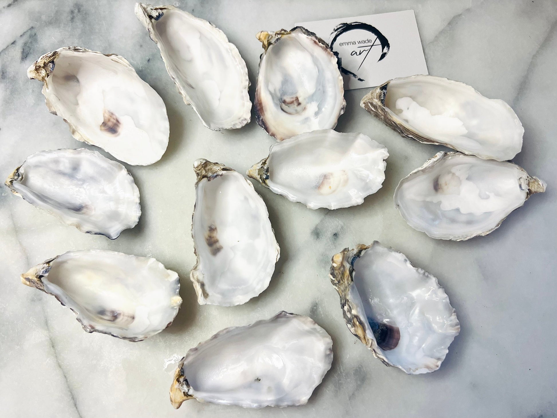 Natural Oyster Shells (9-11cm), Crafting Shells, Decoupage, Trinket Dishes