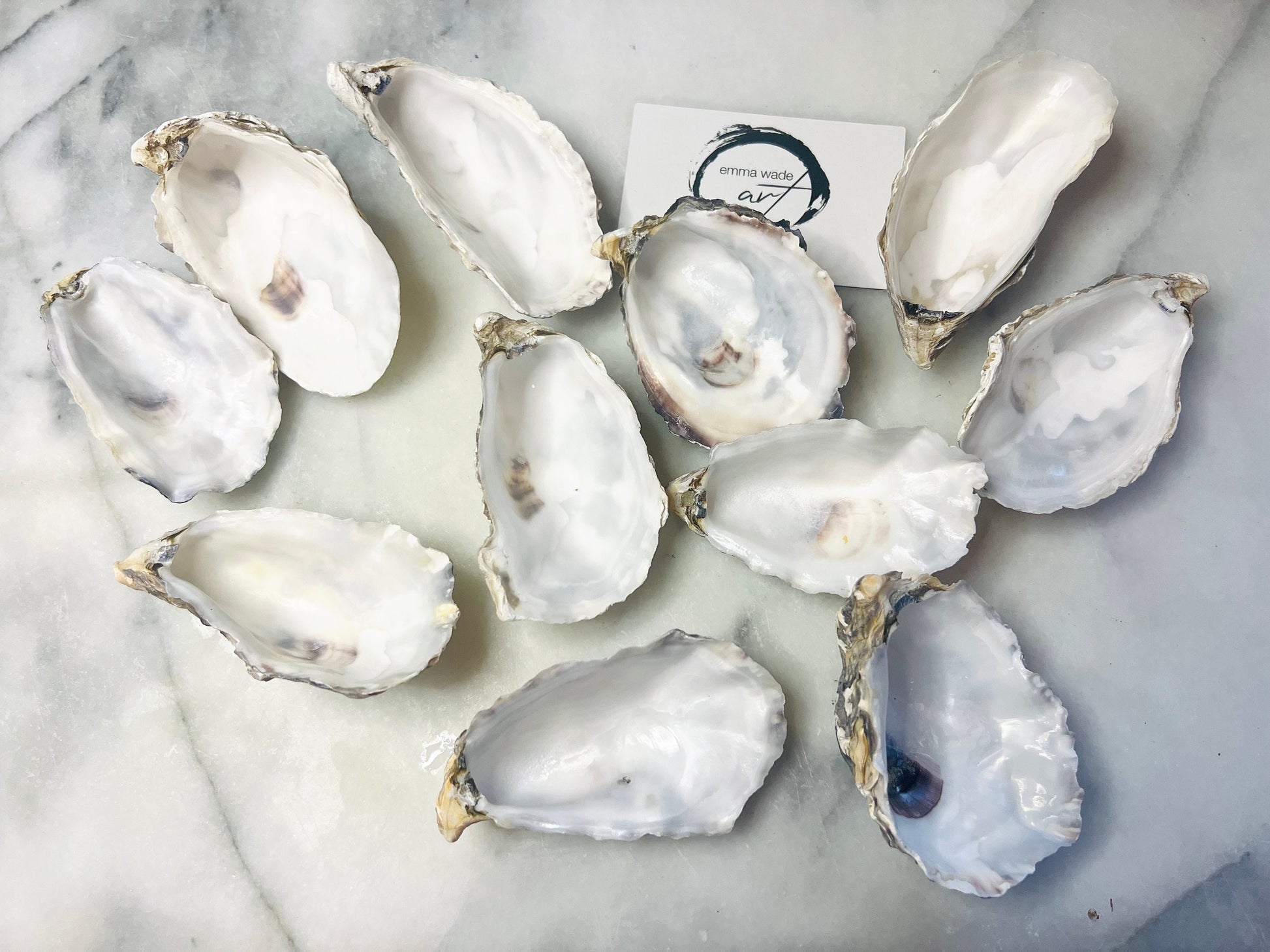 Natural Oyster Shells (9-11cm), Crafting Shells, Decoupage, Trinket Dishes