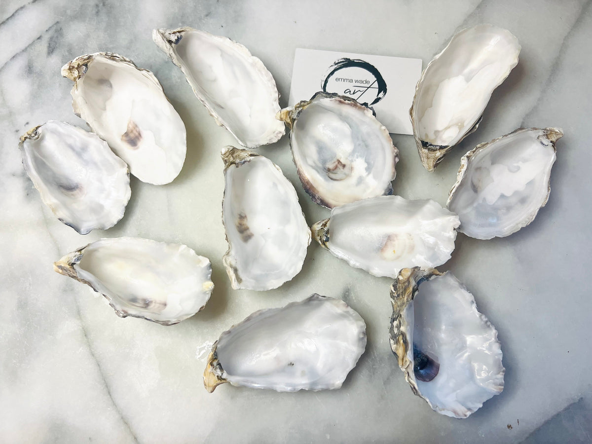 Bundle of natural cupped oyster shells, foraged from the Kent and Dorset coastlines. Sustainable shells measuring 6–9cm, perfect for crafts, coastal home décor, oyster shell wedding favours, catering displays, trinket dishes, jewellery holders, or DIY art projects. Each shell is cleaned and ready to use, though recommended to run through dishwasher before catering. Unique eco-friendly shells with natural texture and charm.