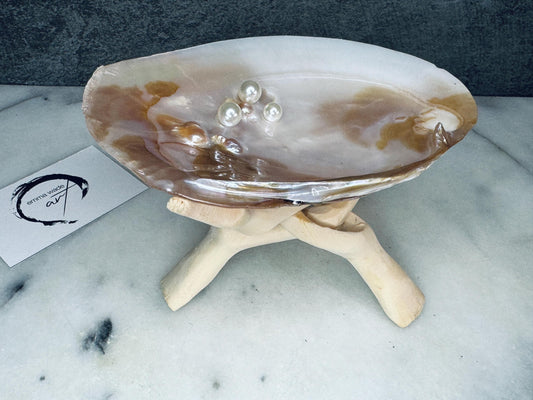 Natural freshwater oyster shell dish with Swarovski pearls, handmade coastal jewellery dish with glossy resin finish, luxury oyster shell decor with optional driftwood stand, pearlescent shell trinket tray, ring holder, coastal home styling accessory, unique artisan shell gift from Dorset UK