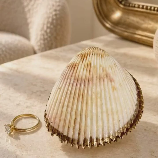 Handmade Sea Shell Ring Box, Gold Leaf Jewellery Box, Pearl Ring Holder, Coastal Shell Ring Storage, Wedding or Proposal Box.  8-9cm wide